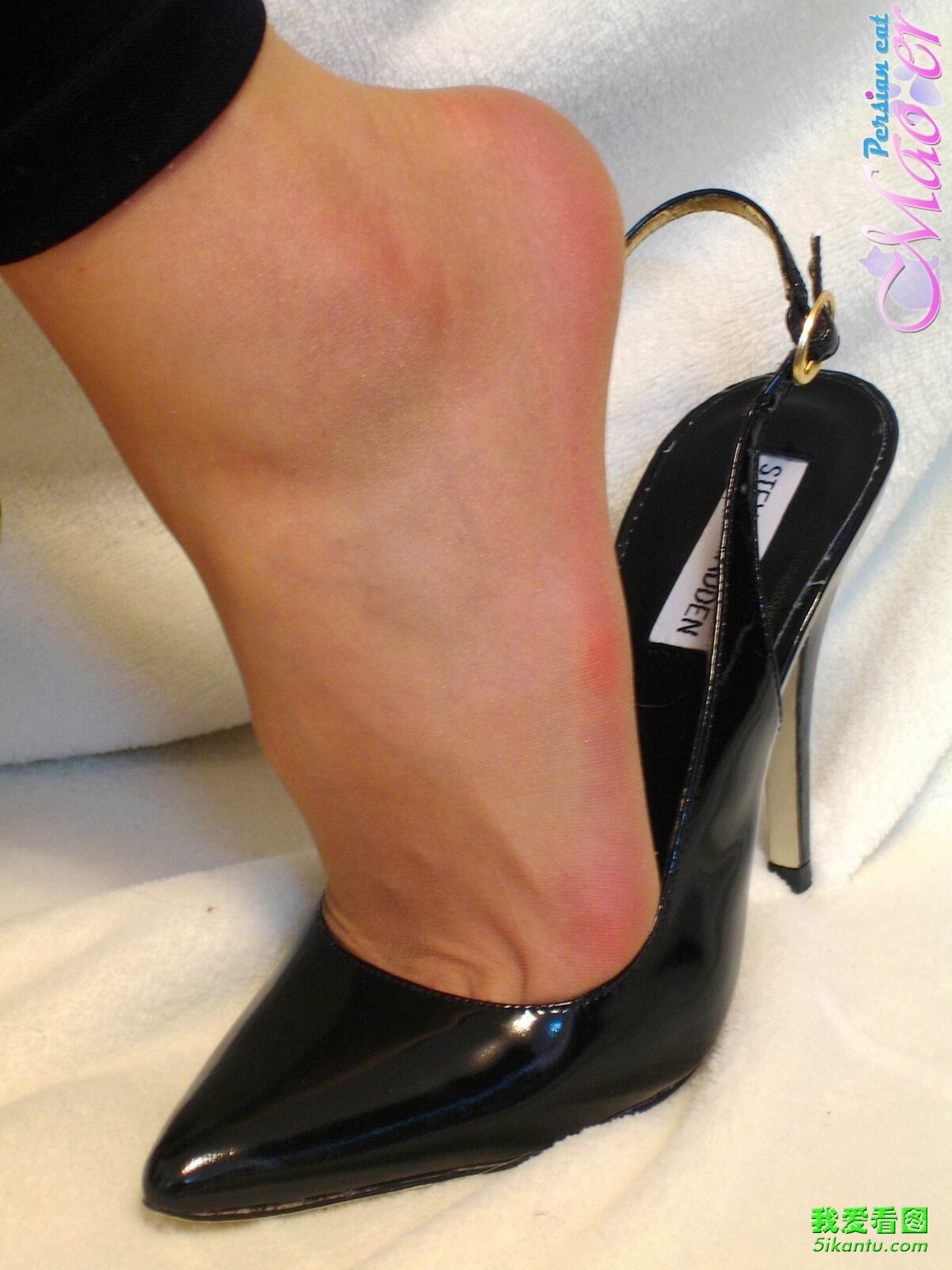 BoSiMaoer波斯猫 ID.005 丝袜美女恋足秀