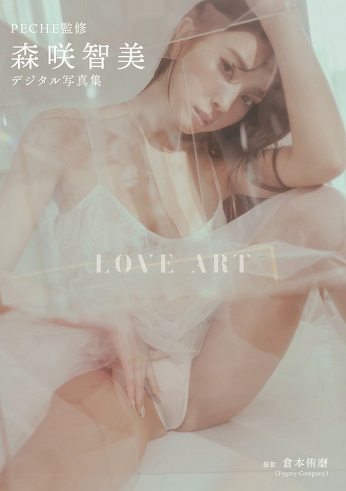 [Photobook] NO.0073 森咲智美写真集『LOVE ART』incomp ...