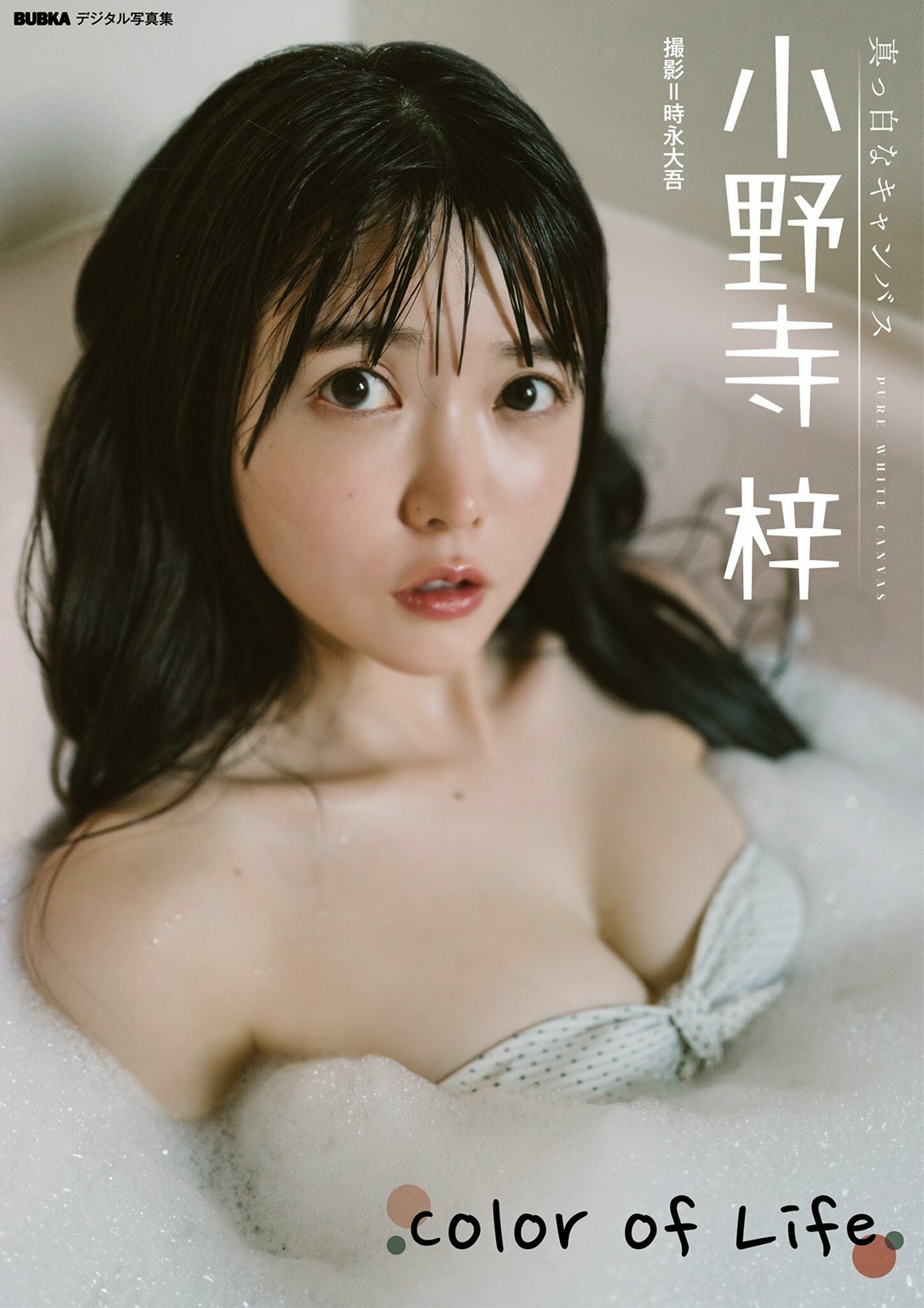 [Photobook] NO.0077 Azusa Onodera 小野寺梓 - Color o ...