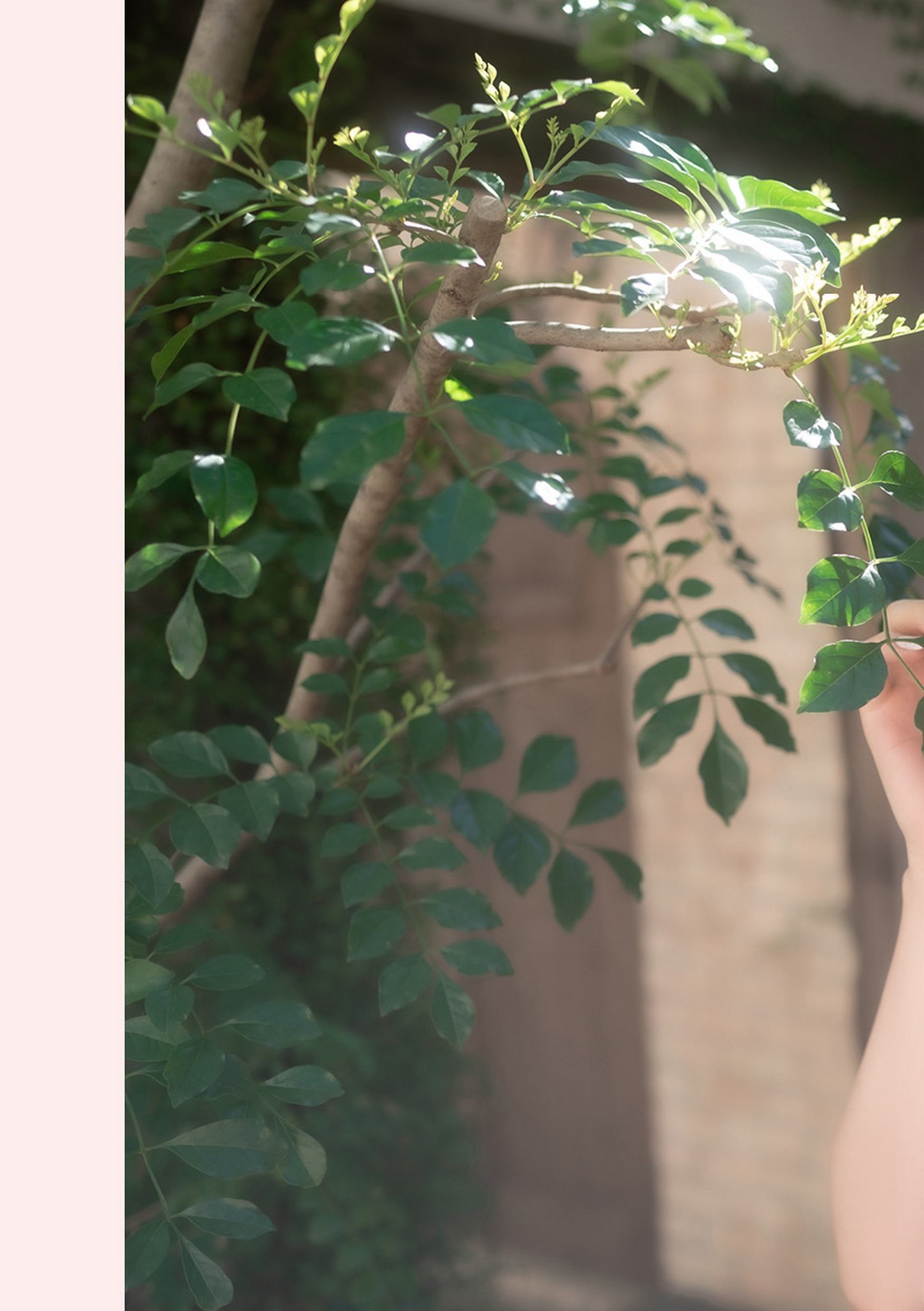 [Photobook] NO.0271 Count sheep【Sleep】石川澪