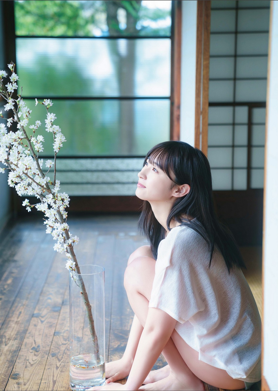 [Photobook] NO.0307 松本日向「陽のあたる場所」 ...