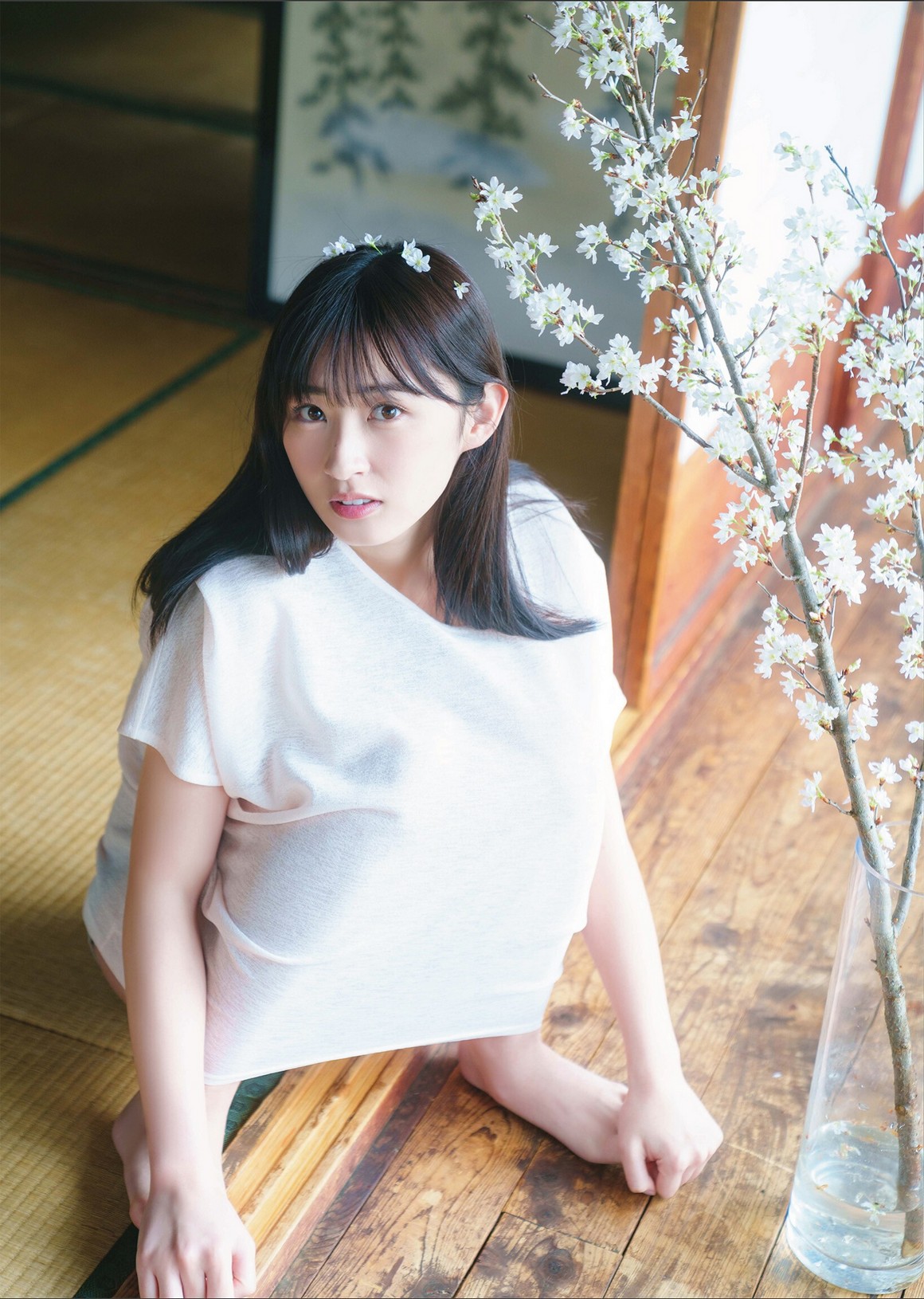 [Photobook] NO.0307 松本日向「陽のあたる場所」 ...