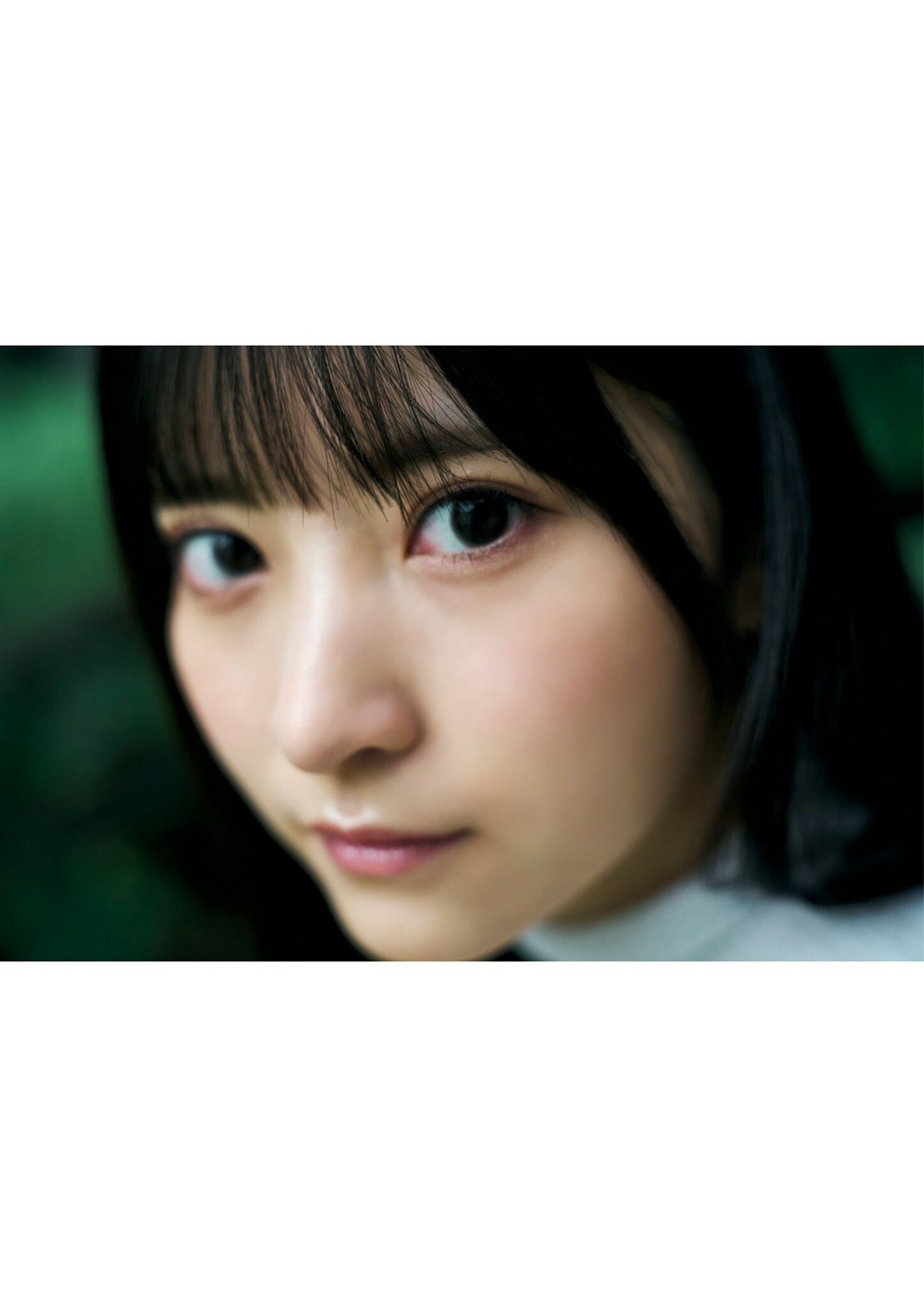 [Photobook] NO.0309 小鳥遊るい「春を忘れても━━」 ...