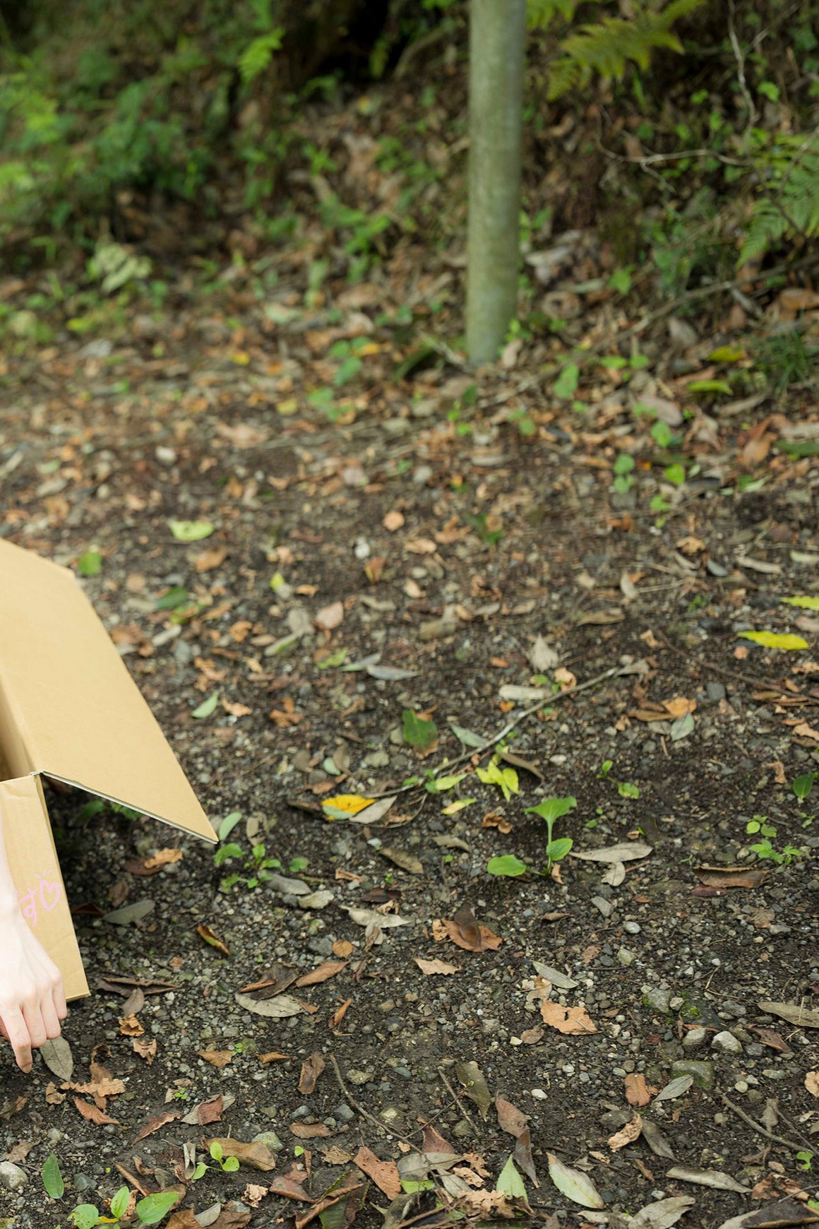 [Photobook] NO.0317 森ふう花 おんがえし。