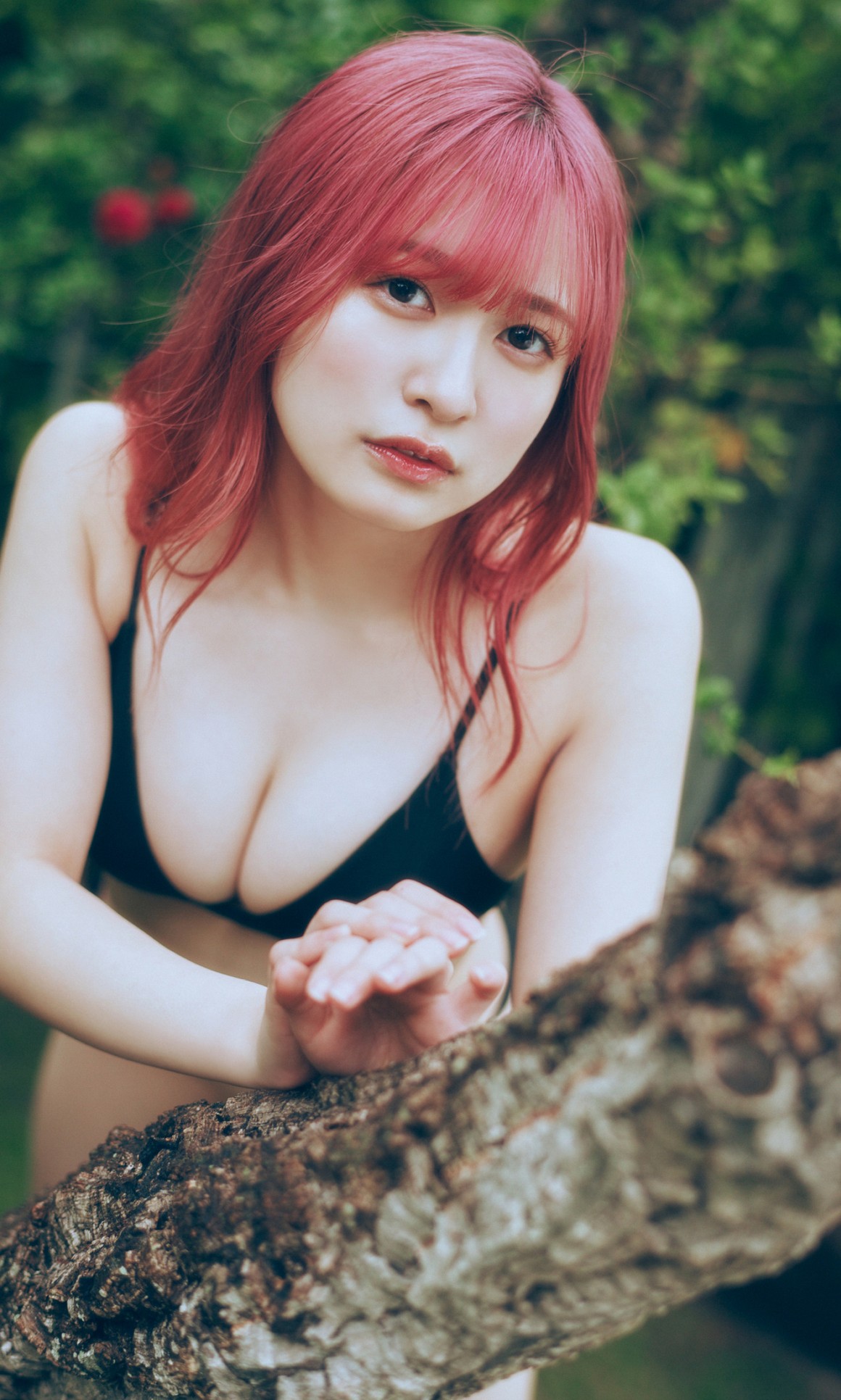 [Photobook] NO.0333 早川渚紗写真集「梅雨なピンクダー ...