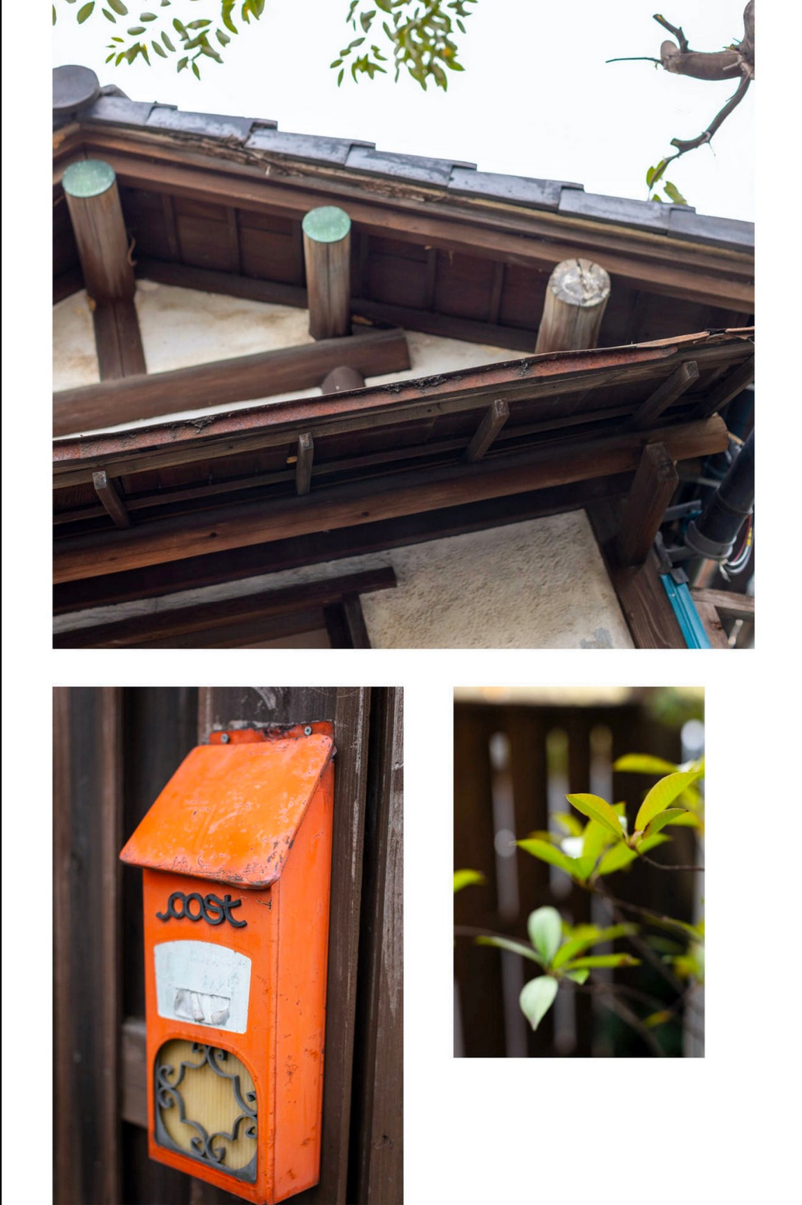 [Photobook] NO.0336 Aoi Mizutani 水谷あおい - Blue s ...