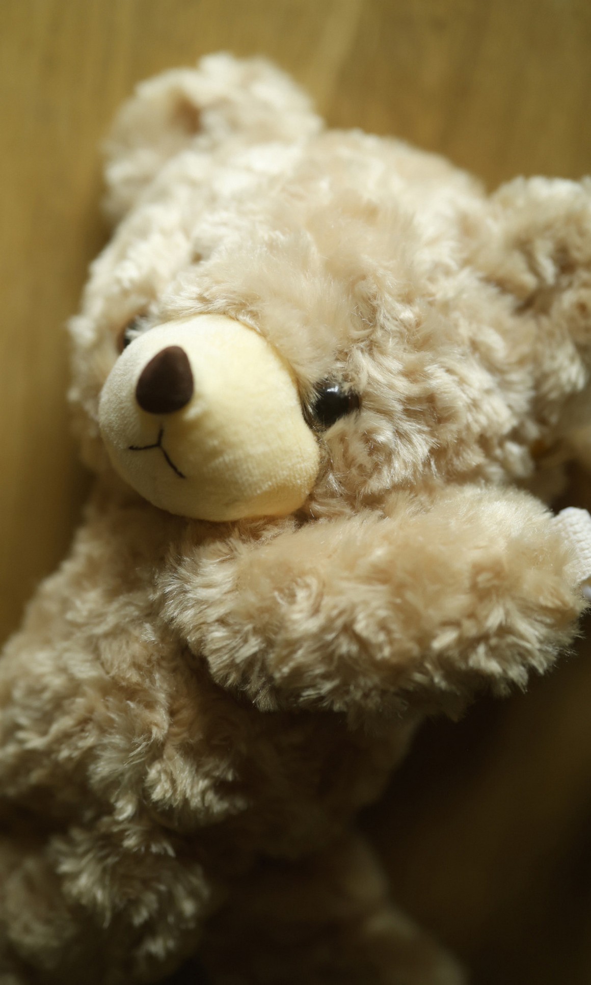 [Photobook] NO.0340 小此木流花（るーるる）写真集「る ...