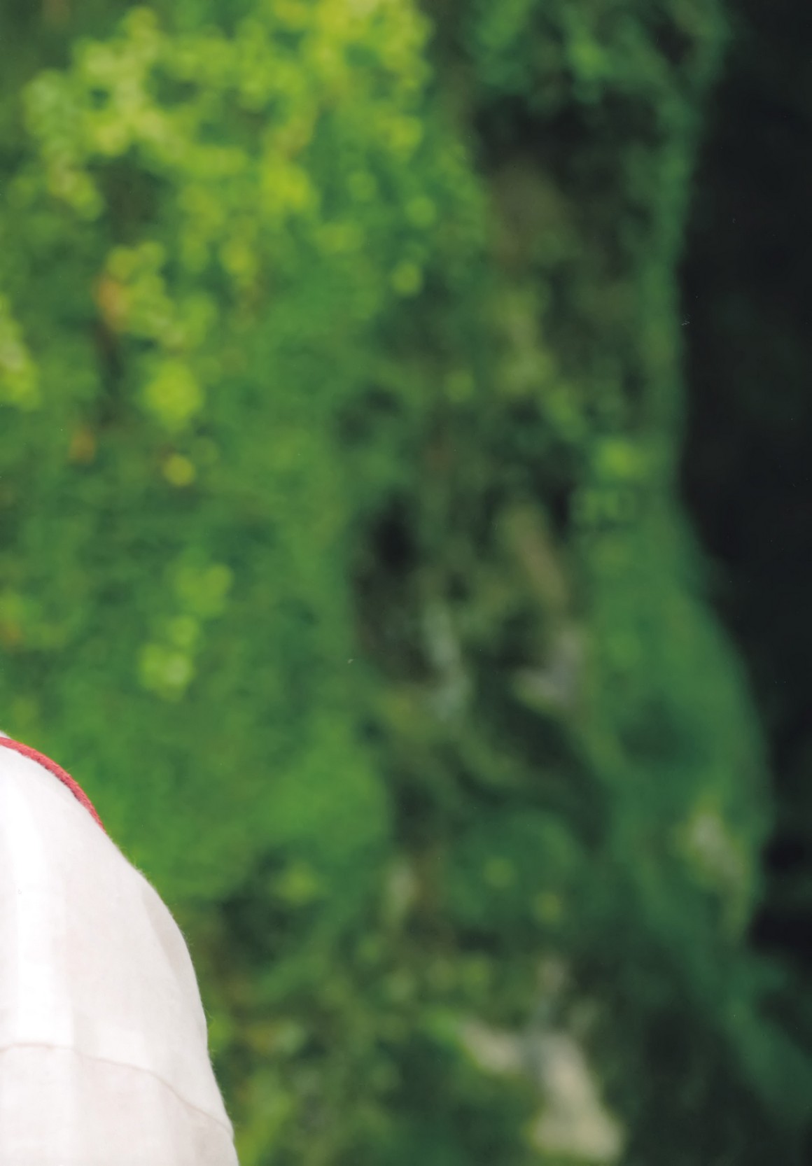 [Photobook] NO.0357 Akane Fujita 藤田茜 - Akane Iro&nbsp;&nbsp;...