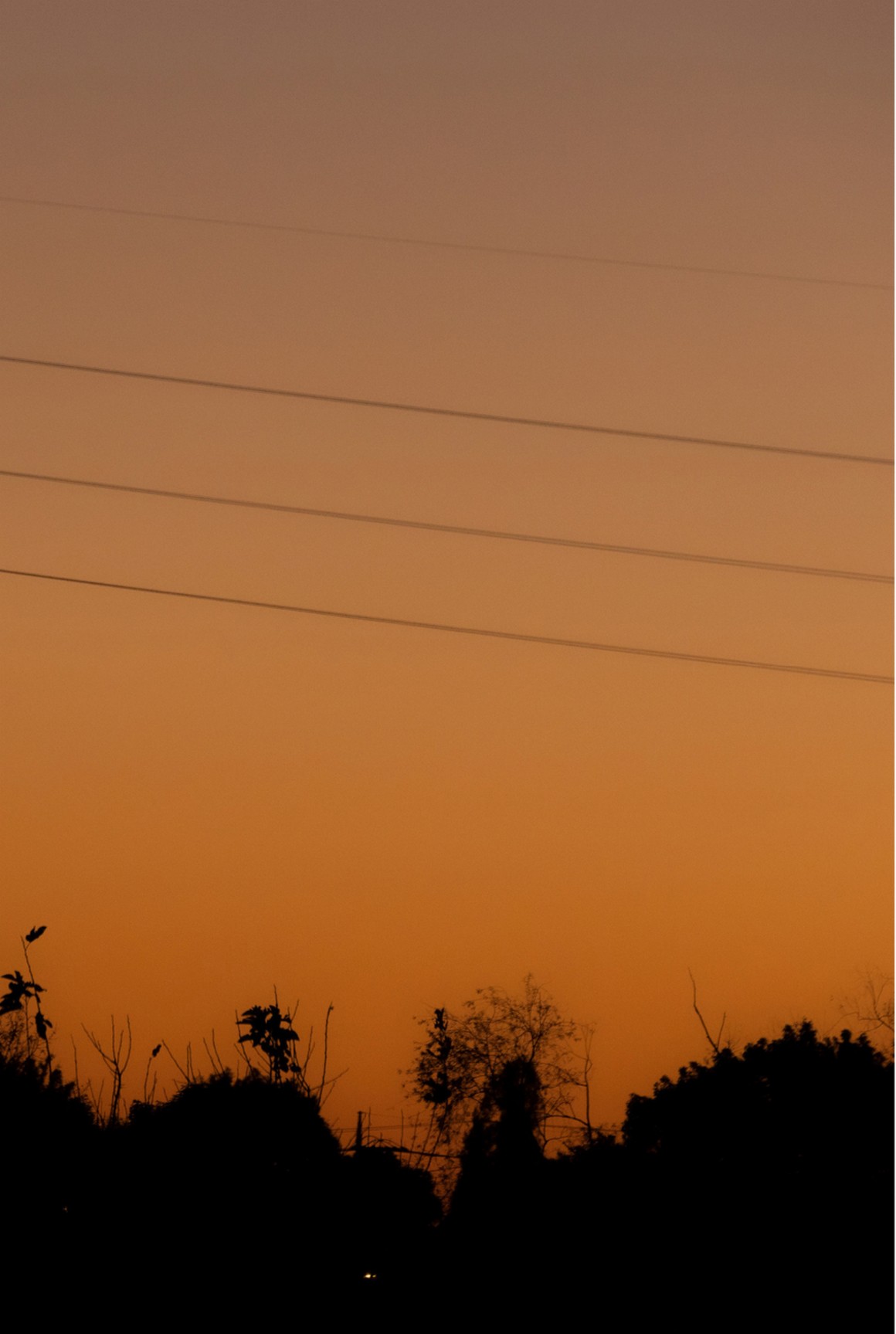 [Photobook] NO.0391 森日向子 公式グラビア写真集 青春 ...