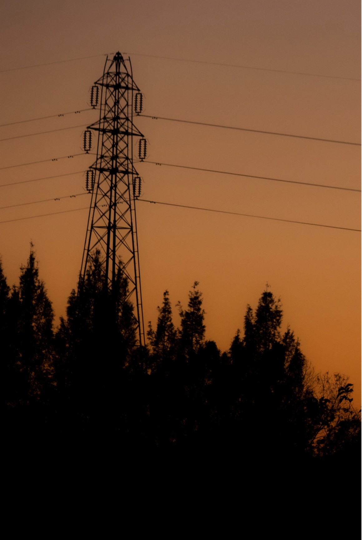 [Photobook] NO.0391 森日向子 公式グラビア写真集 青春 ...