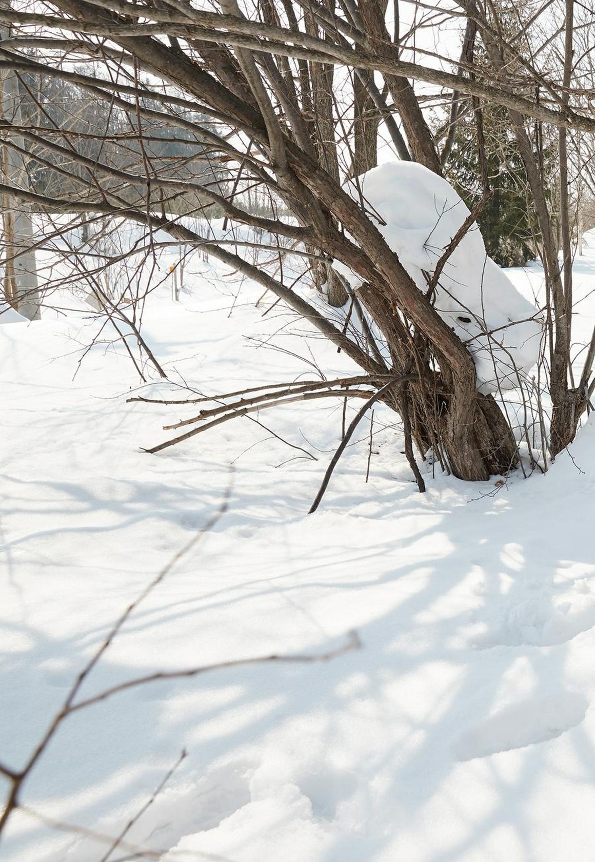 [Photobook] NO.0396 一見峮心 峮峮個人寫真書 數位精華 ...
