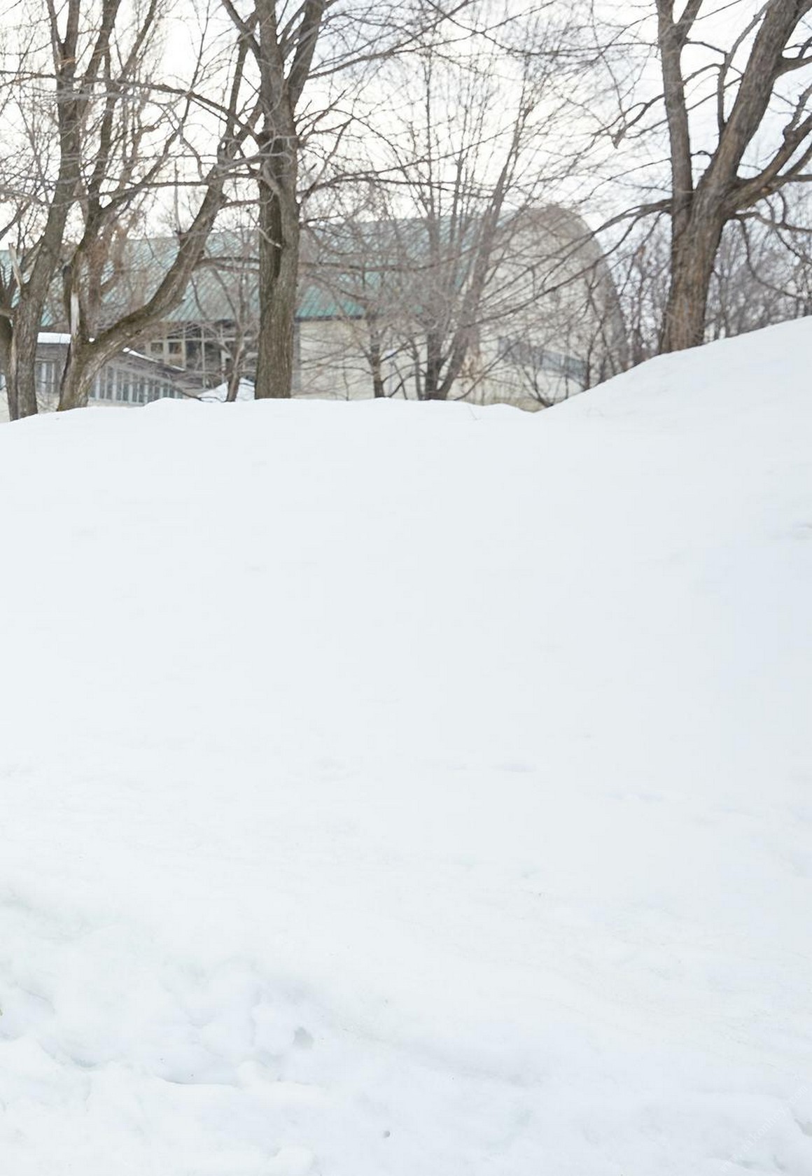 [Photobook] NO.0396 一見峮心 峮峮個人寫真書 數位精華 ...