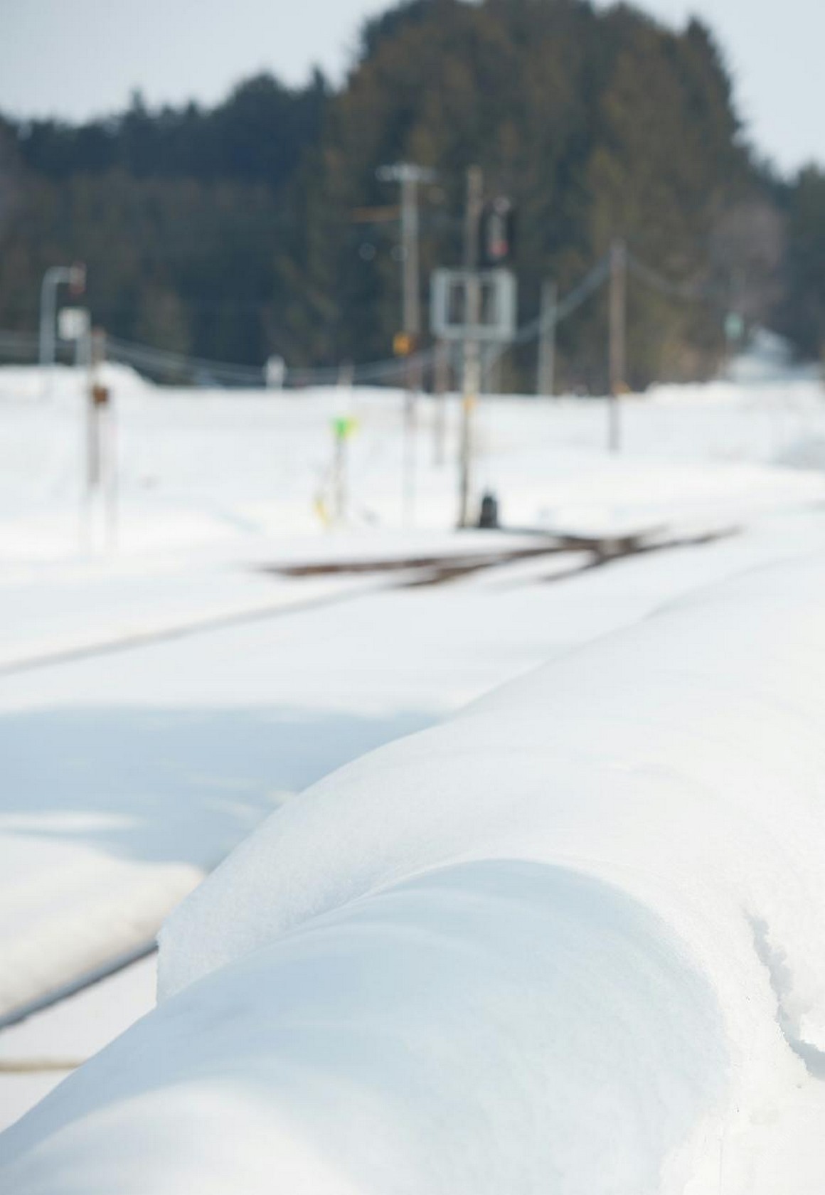 [Photobook] NO.0396 一見峮心 峮峮個人寫真書 數位精華 ...