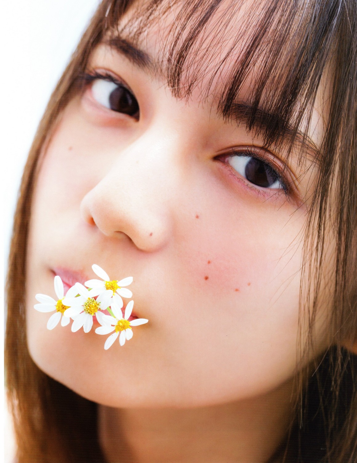 [Photobook] NO.0414 Nao Kosaka 小坂菜緒 - Who are yo ...