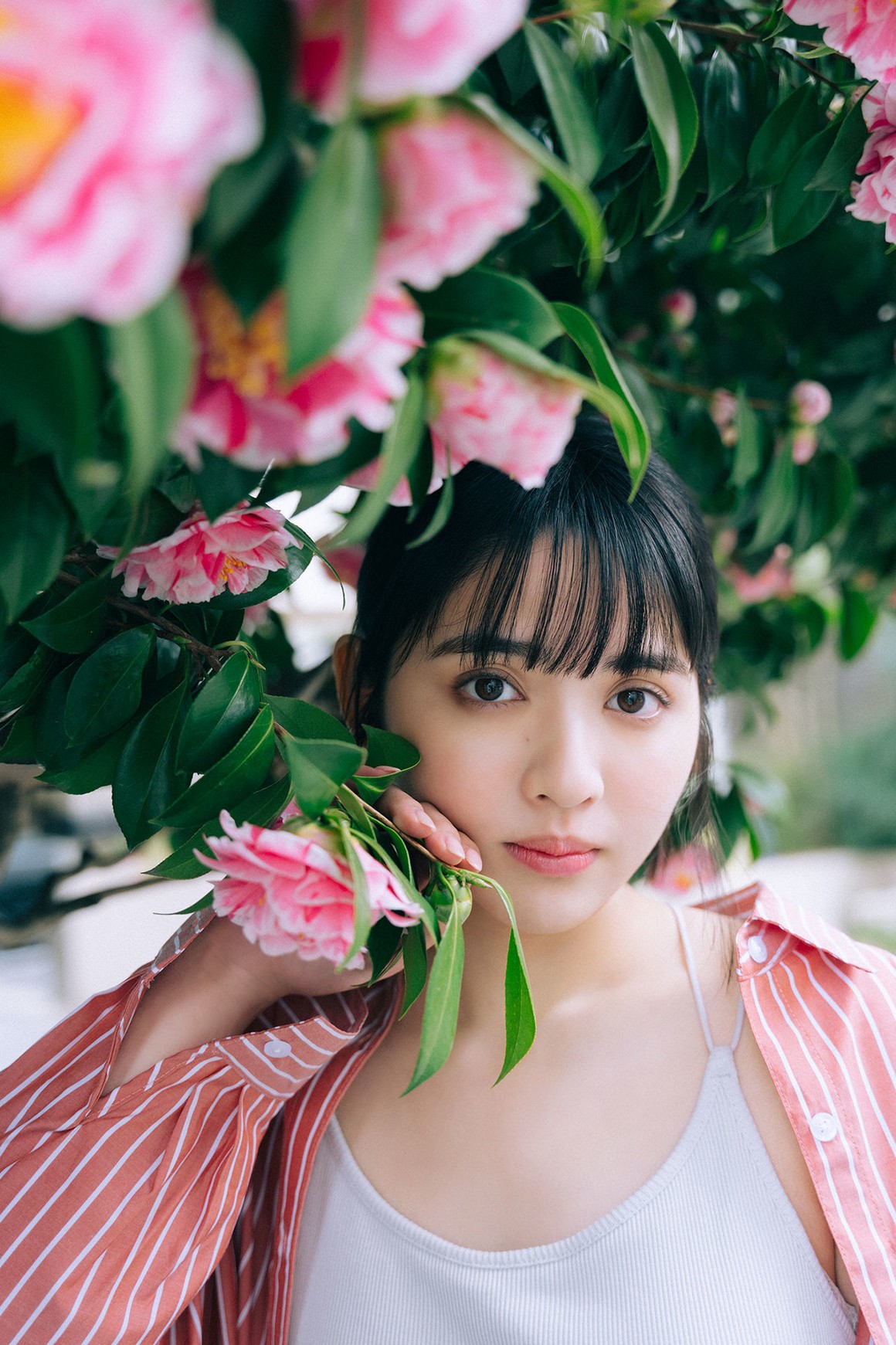 [Photobook] NO.0431 Suzuka Chinzei 鎮西寿々歌 - WHIT ...