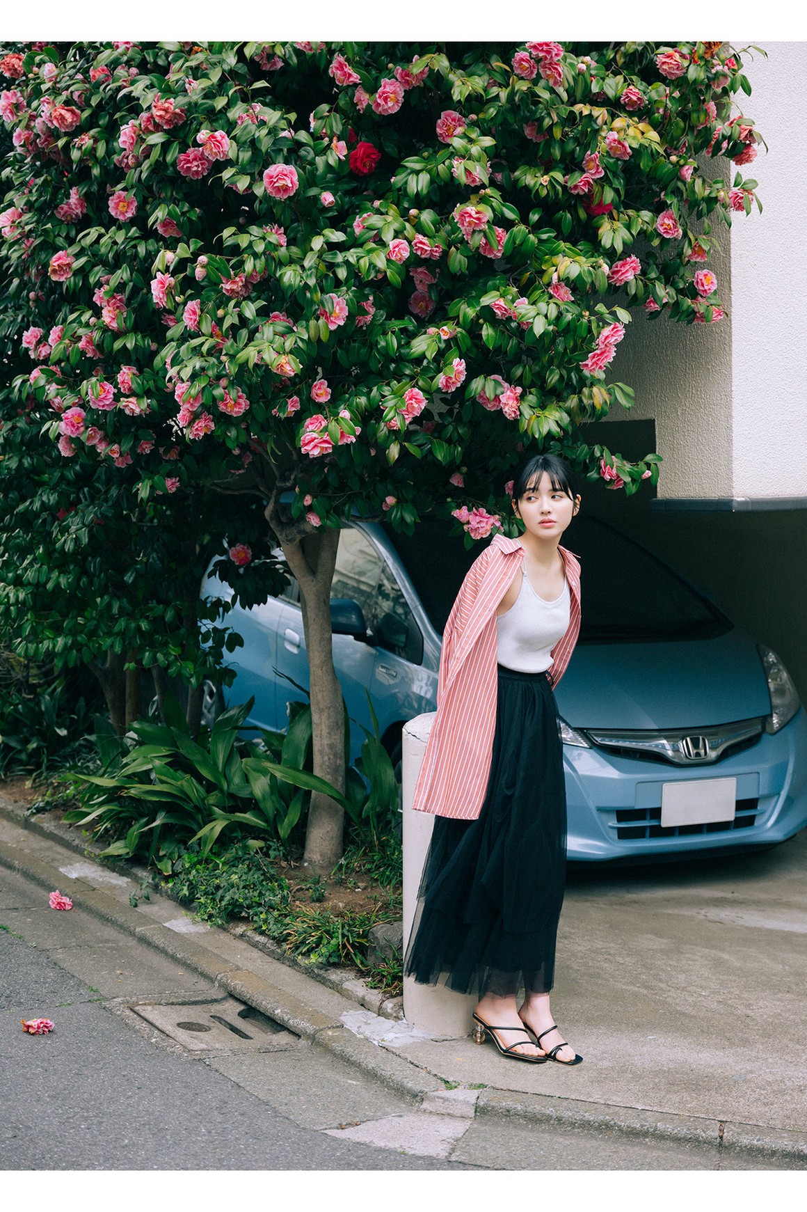 [Photobook] NO.0431 Suzuka Chinzei 鎮西寿々歌 - WHIT ...